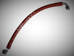 cistic-vana.png